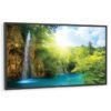 NEC 55" P551 HD LCD Monitor
